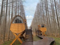 -黄海国家森林公园