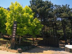 -北京西山国家森林公园