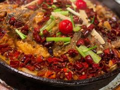 -老板恋上鱼(印象城店)