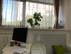 -圣嘉新医疗美容医院