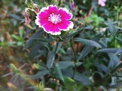 -南宁花花大世界景区