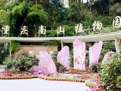 -南山植物园