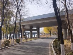 -丁香湖公园