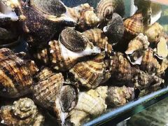 海螺-蚝专家(北滘店)