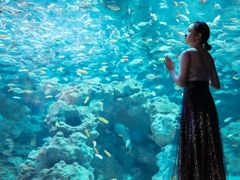 -成都浩海立方海洋公园