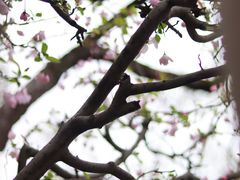 -白塘生态植物园