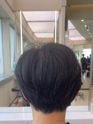 -GANO HAIR 