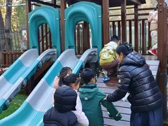 -ThinkFirst·圣克弗斯幼儿园(CBD双井校区)