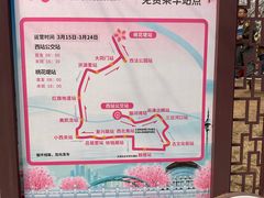 -桃花堤公园