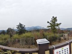 -缥缈峰景区