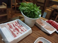 茼蒿-傣妹火锅(南京东路一店)