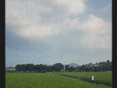 -光明小镇欢乐田园
