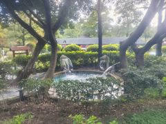 -森波拉火山温泉