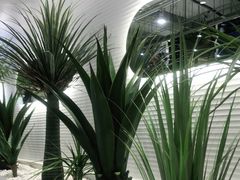 -兰湘子·湘菜小炒(崂山丽达店)