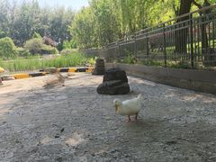 -仁和公园(顺义区)