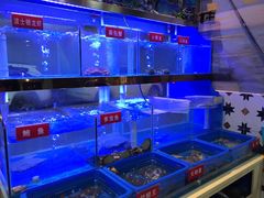 -小龍鳳·港式海鲜打边炉(沙湖路店)