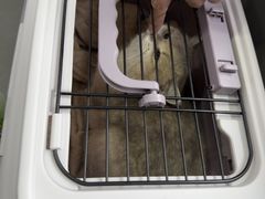 -pd派德宠物中心医院24H急重症·眼科中心·血液透析中心(嵩山北路店)