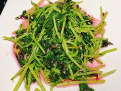 蒜泥苋菜-潮三爷砂锅焗海鲜·生腌·海鲜粥(朝晖店)