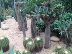 -广东茂名森林公园