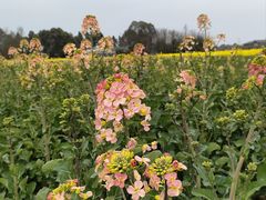 -中国天府农业博览园