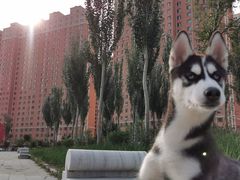 -青城公园
