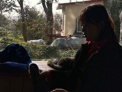 -海边的猫和咖啡馆
