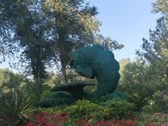 -鲤鱼山公园