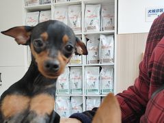 -申普宠物医院·眼科·心内科·影像科(普陀分院)