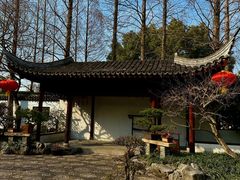 -上海醉白池公园