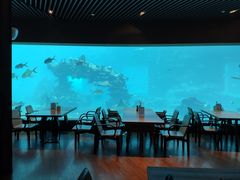-海棠湾洲际-涛·海底餐厅·美人鱼·自助餐·海底隧道