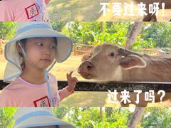 -海南热带野生动植物园