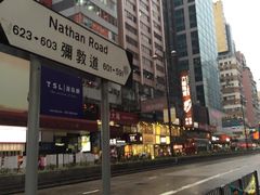 -珍妮曲奇聪明小熊(尖沙咀店)