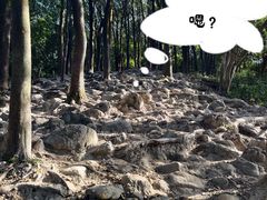 -黄埔油麻山森林公园