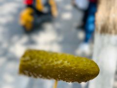 刺黄瓜-雪儿钱局泡菜
