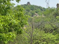 -北京鹫峰国家森林公园