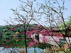 -重庆彩云湖湿地公园