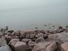 -深圳湾公园(南山区)