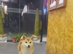 -小象家照相馆(大都荟店)