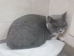 -酷宠动物医院(天通西苑店)