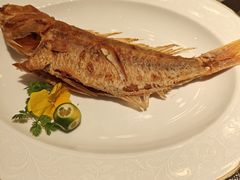 -金海华·悦食东方(苏州中心商场店)