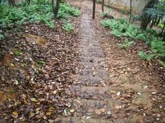 -马王堆汉墓遗址
