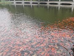 -大连植物园