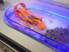 -比尔森韩式烤肉自助(绿园店)