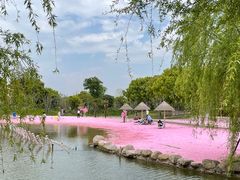 -上海杨姆庄园