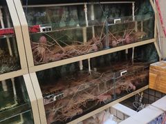 -悦来酒家·正宗闽南菜(西街店)