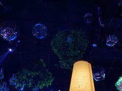大堂-胡桃里音乐酒馆(四道口店)