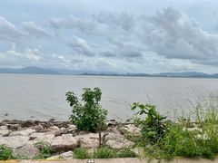 -深圳湾公园(南山区)