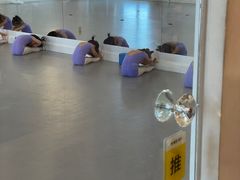 -芭蕾仙子 FairyBallet 少儿芭蕾舞蹈中心(丽都旗舰店)