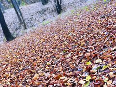 -吉林大学(前卫南区)