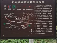 -重庆彩云湖湿地公园